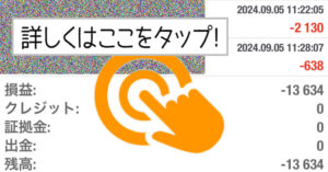 9月5日の成果